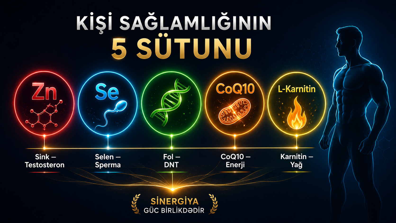 Sink selen fol tursusu koenzim Q10 — kisi saglamligi testosteron immunitet vitamin mineral